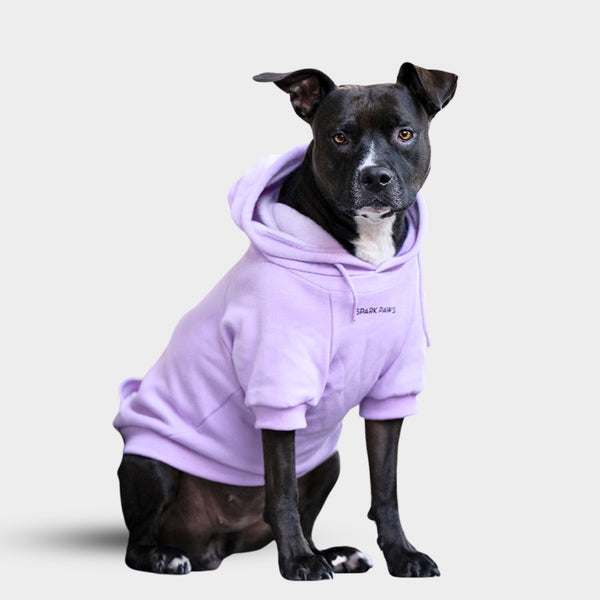 Essentielles Hunde Hoodie - Orchideenlila