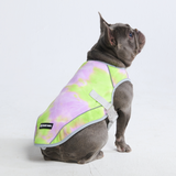 Dog Cooling Vest - Neon Purple