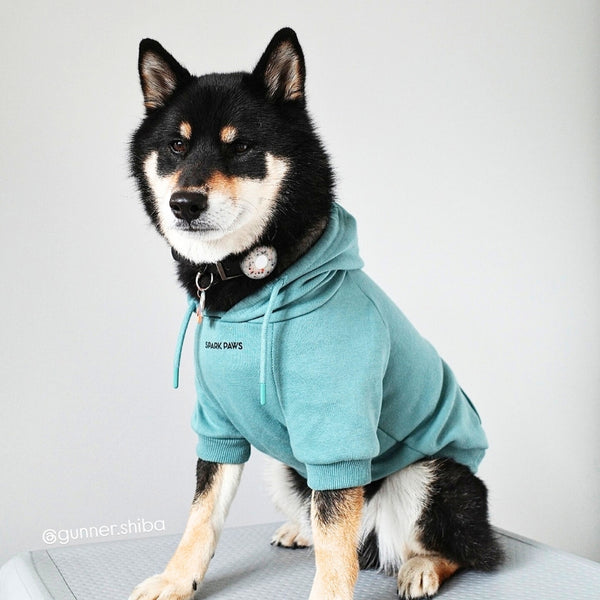 Essentielles Hunde Hoodie - Türkis