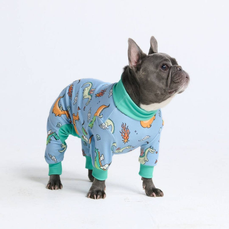 Hunde Pyjama– Drachen