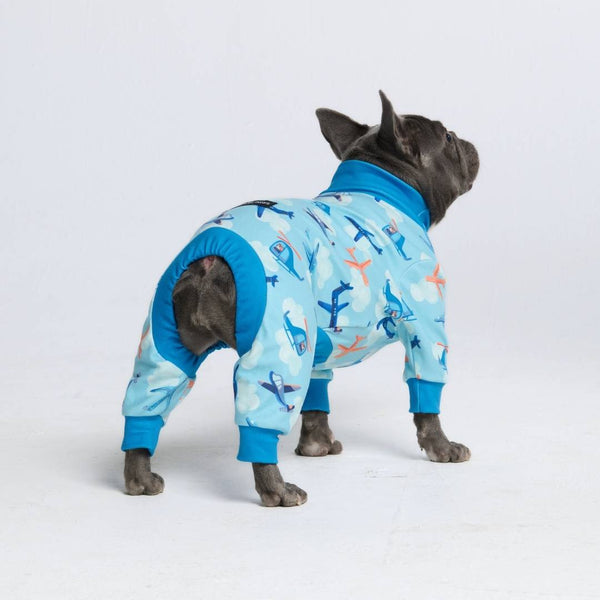 Dog Pajama - Airplanes