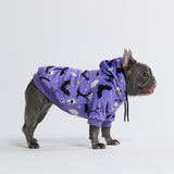 Halloween Hundehoodie - Lila