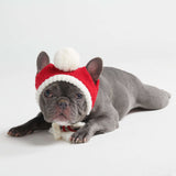 Knit Pom Pom Dog Beanie Hat - Santa