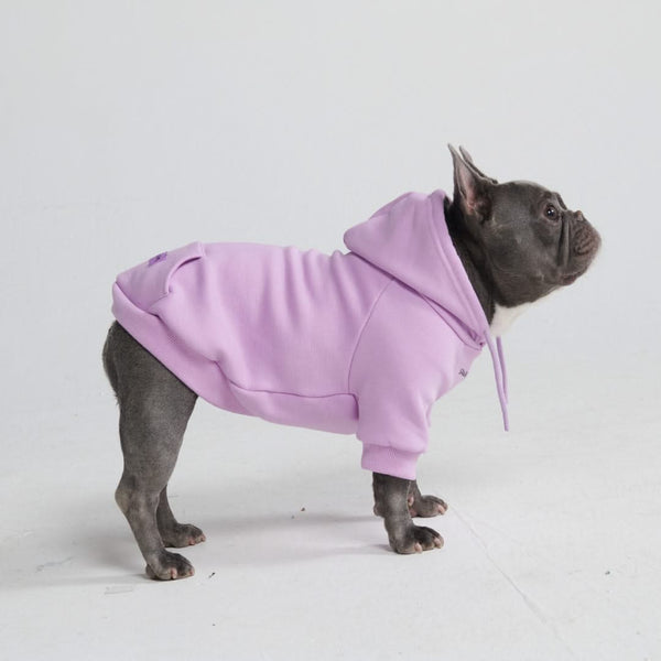 Essentielles Hunde Hoodie - Orchideenlila