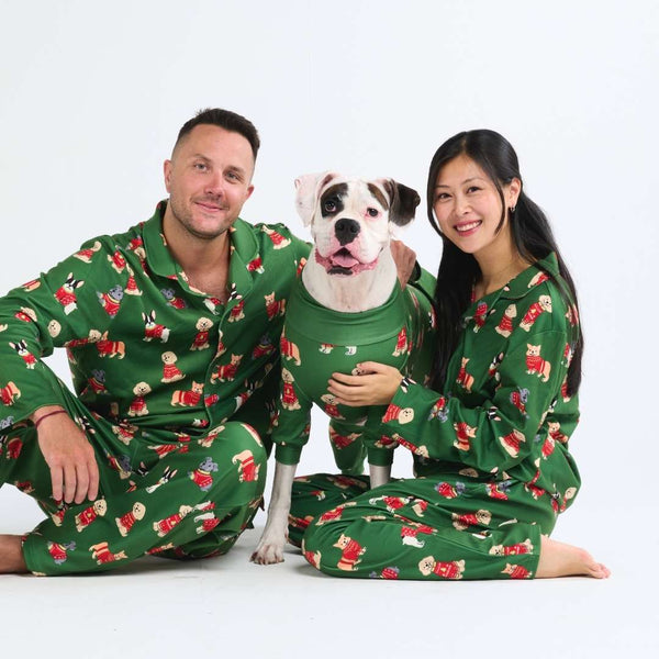 Weihnachtspyjama für Hunde- Eleganter Welpe