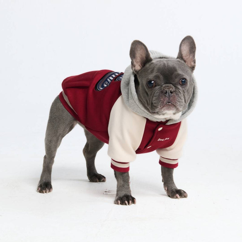 Collegejacke für Hunde– Rot