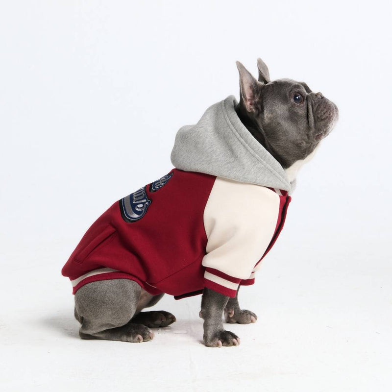 Collegejacke für Hunde– Rot