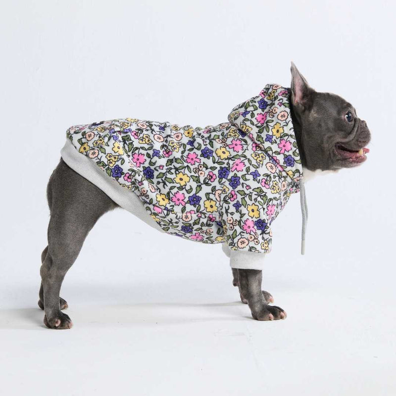 Vintage Flower Hundehoodie – Hellgrau