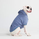 Essentielles Hunde Hoodie - Schieferblau