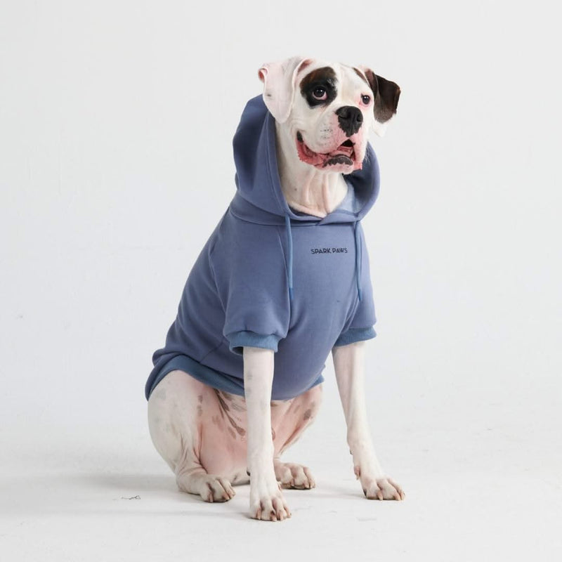 Essentielles Hunde Hoodie - Schieferblau