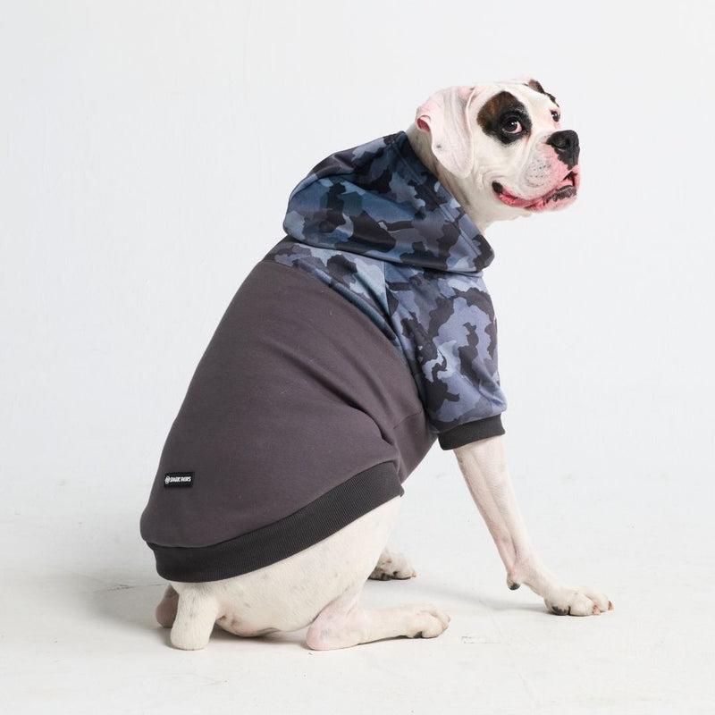 Graue Tarn-Hundehoodie