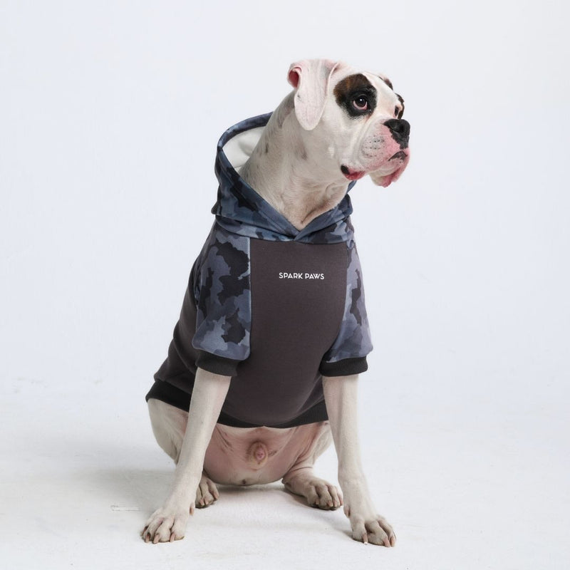 Graue Tarn-Hundehoodie