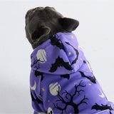 Halloween Hundehoodie - Lila