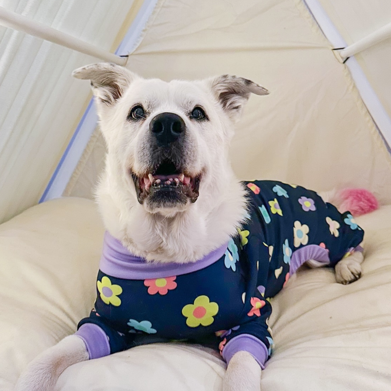 Dog Pajama - Daisy Navy