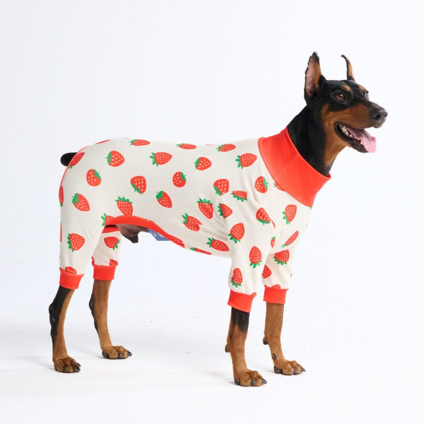 Hunde Pyjama - Erdbeeren