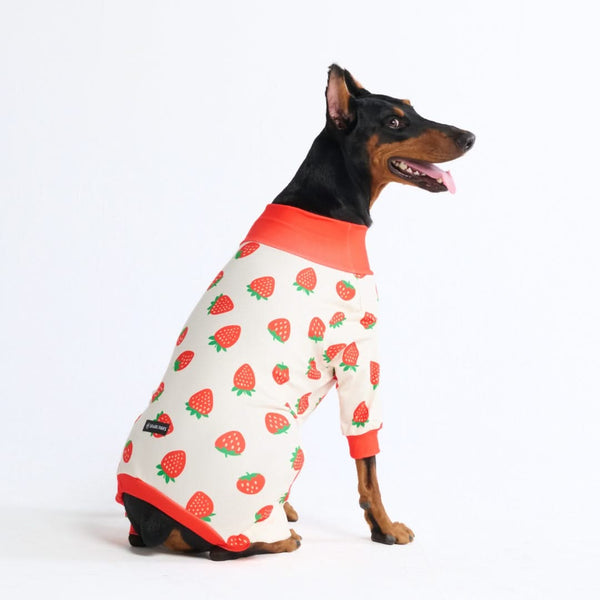 Hunde Pyjama - Erdbeeren