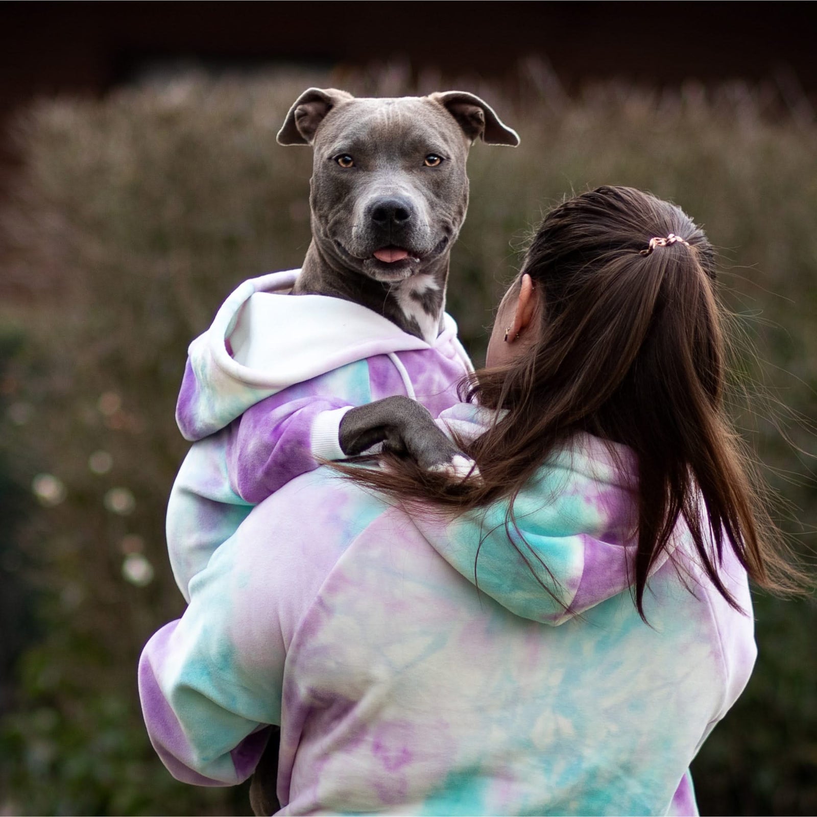 American popular Pitbull Terrier - Hoodie