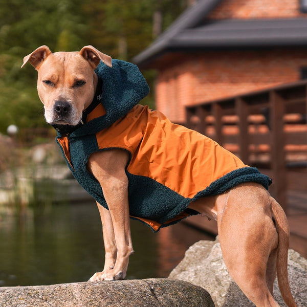 Wendejacke - Grün und Orange