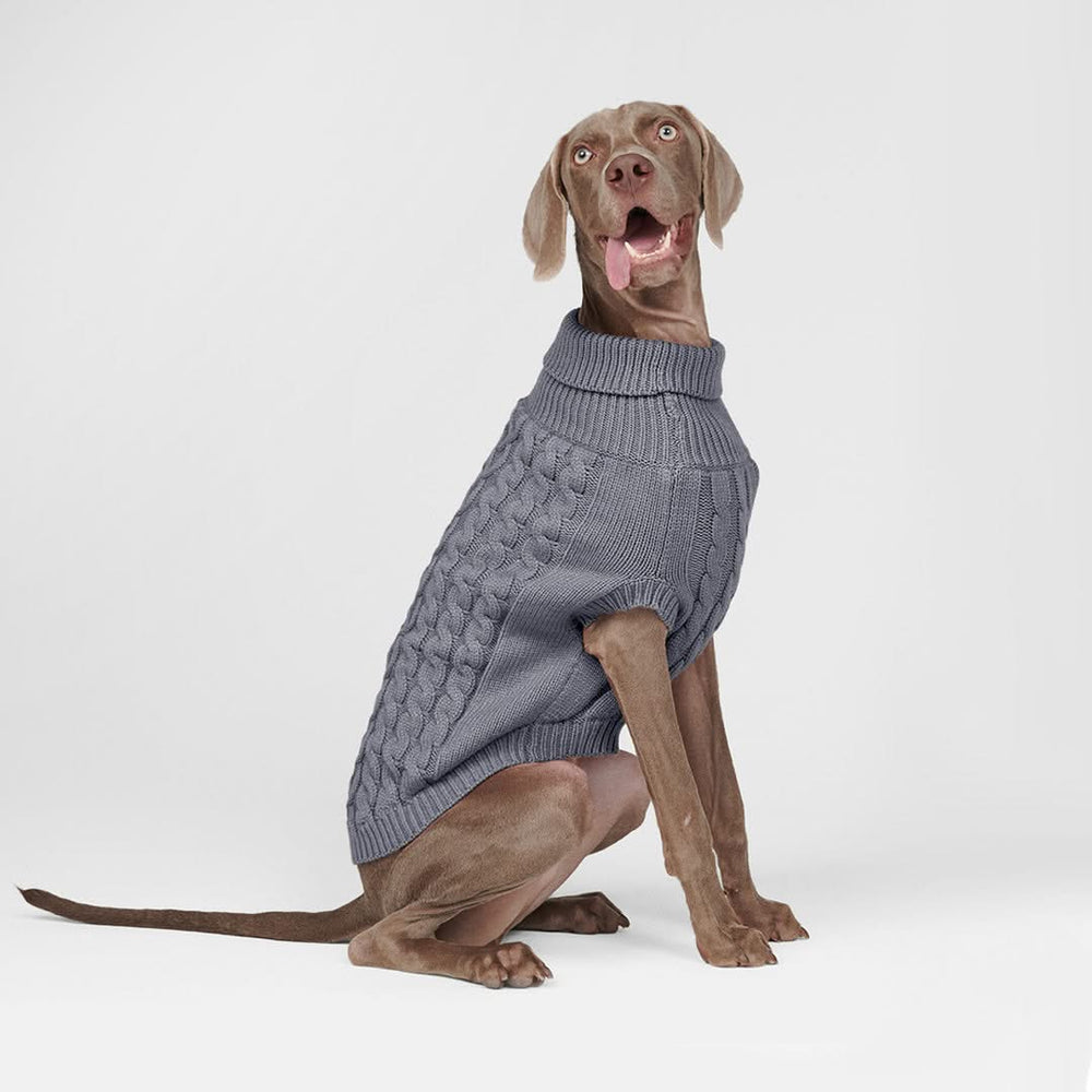 Grey dog jumper hotsell