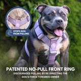 Comfort Control No-Pull Dog Harness Set - Lilac