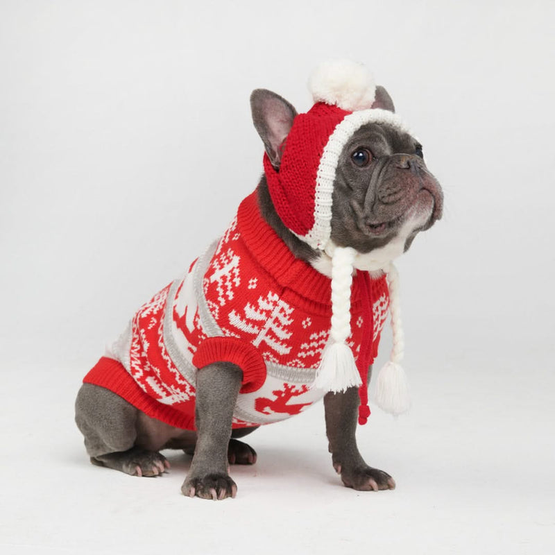 Winter Wonderland Dog Sweater