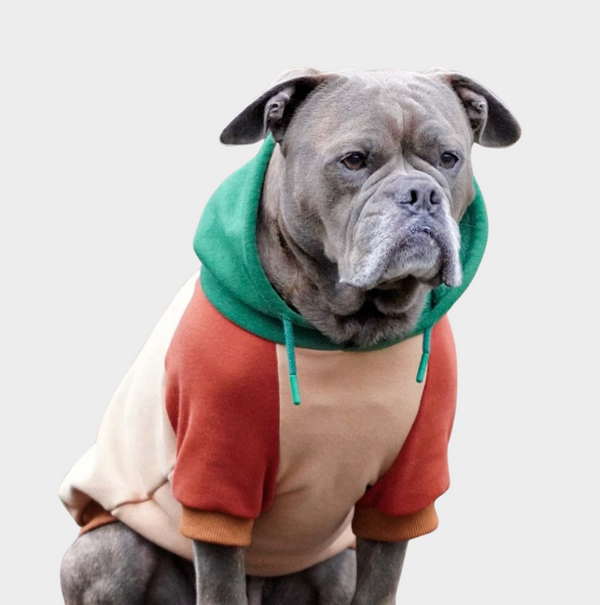 Ranger Dog Hoodie