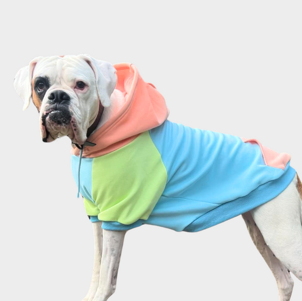 Jelly Bean Hundehoodie