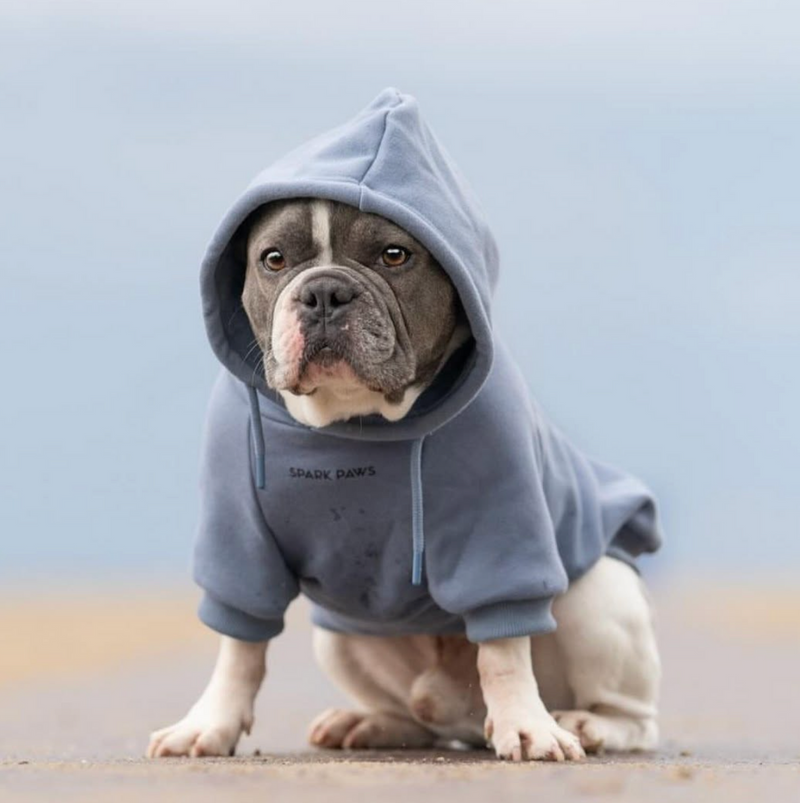 Essentielles Hunde Hoodie - Schieferblau