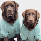 Essentielles Hunde Hoodie - Türkis