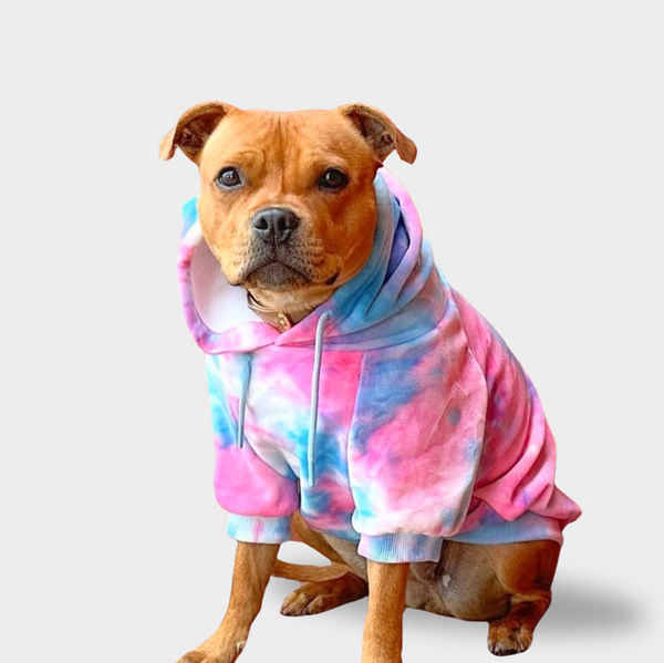 Samtiger Hunde Hoodie - Rosa-Blau