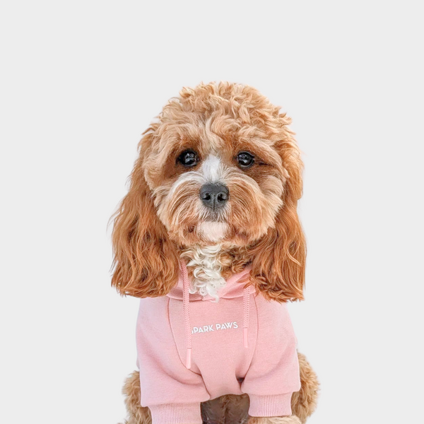 Essentielles Hunde Hoodie - Blassrosa