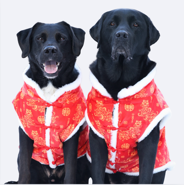 Lunar New Years Vest - Year of the Snake