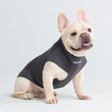 Sunblock Dog T-Shirt - Dark Grey