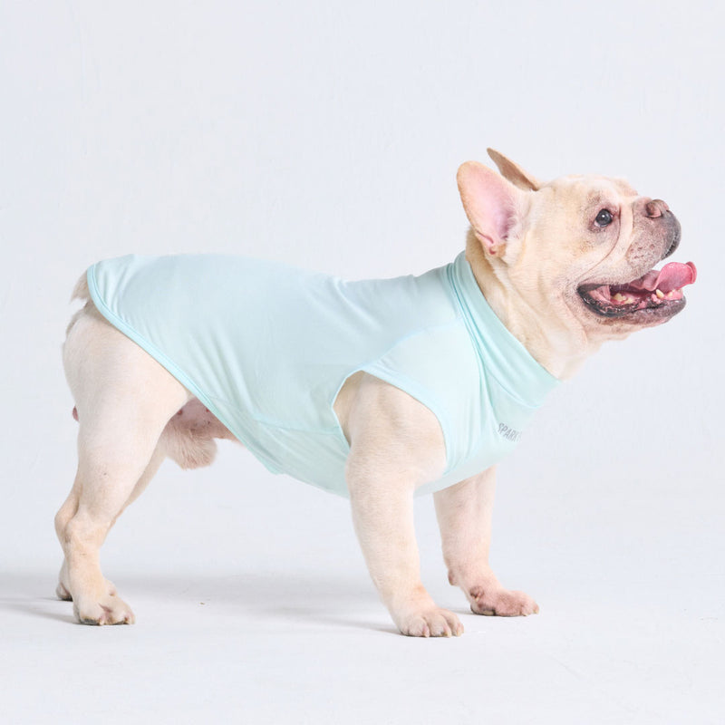 Sunblock Hunde-T-Shirt - Hellblau