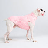 Sunblock Hunde-T-Shirt – Rosa